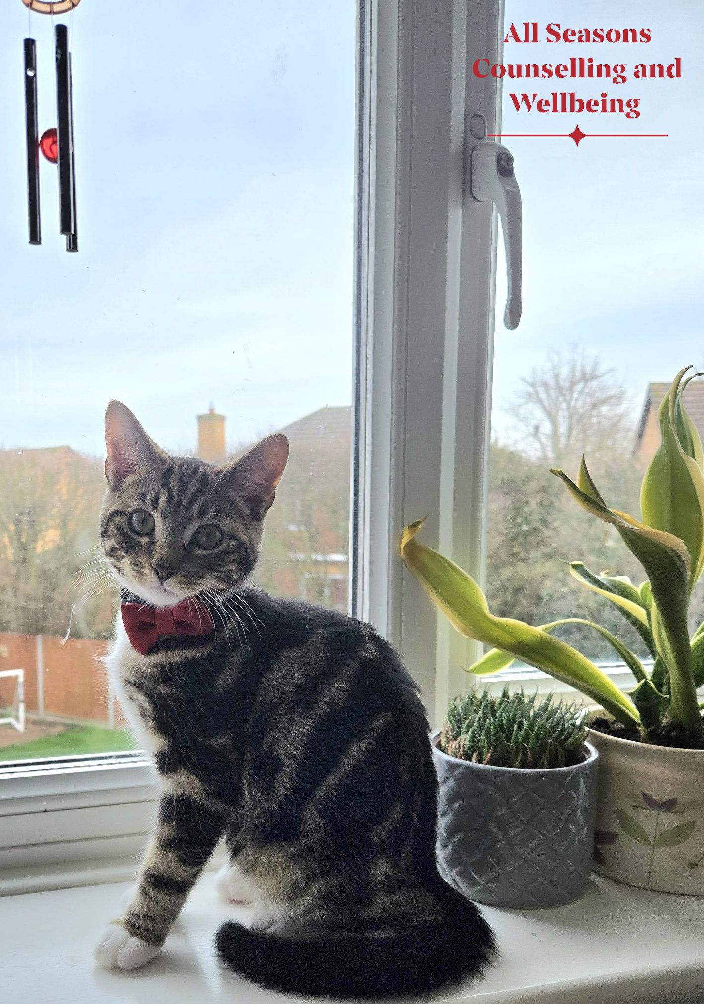 Algorithms, social media and young people